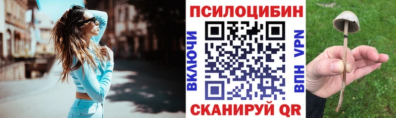 Галлюциногенные грибы Psilocybine cubensis  даркнет состав  Нерехта 